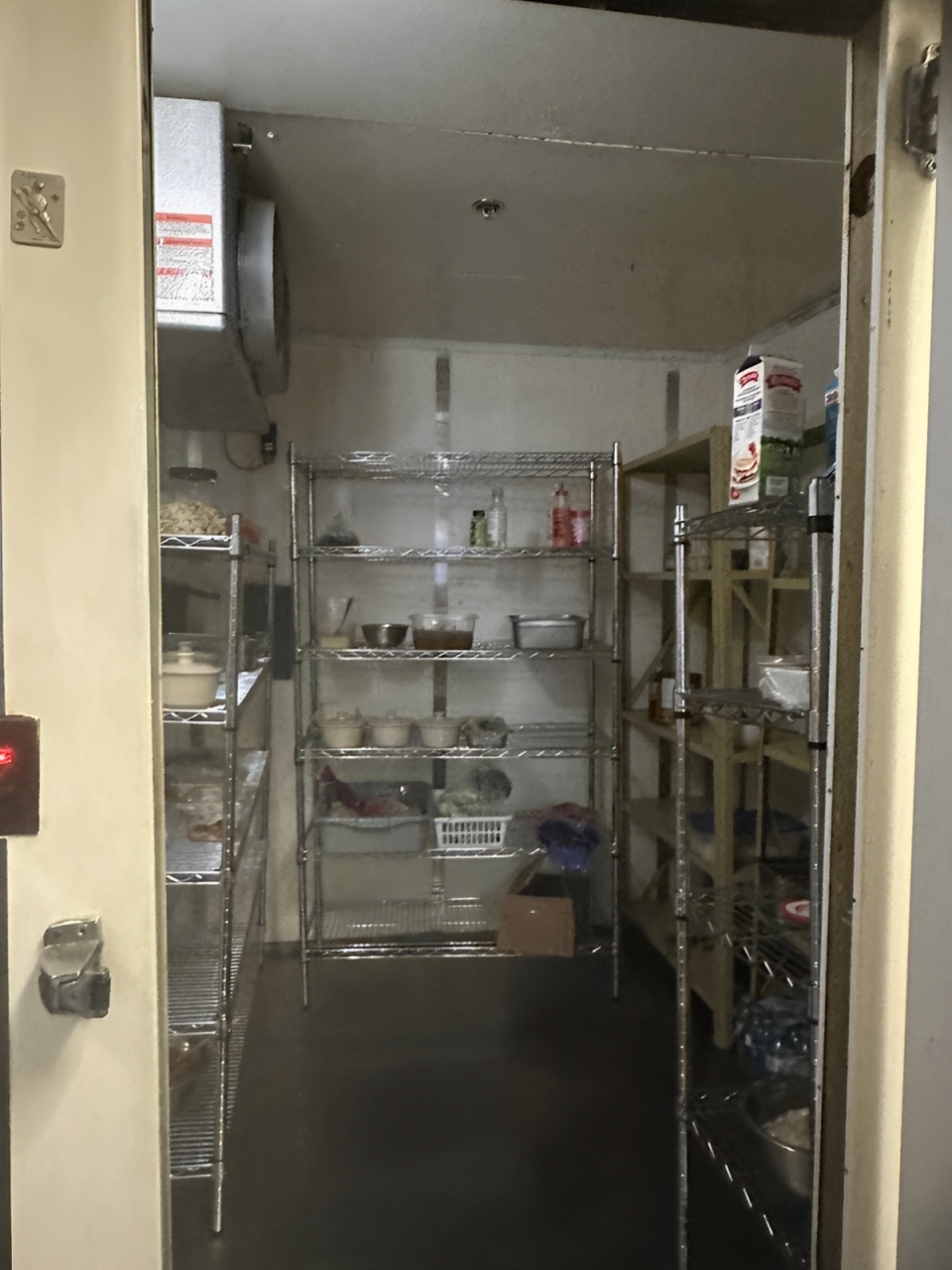 WhatsApp Image 2025-01-13 at 4.55.01 PM (1)